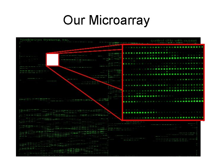 Our Microarray 