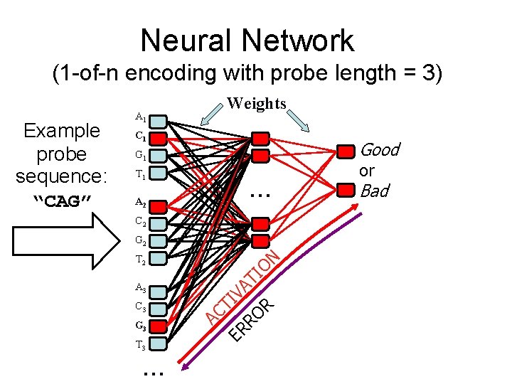 Neural Network (1 -of-n encoding with probe length = 3) A 1 C 1