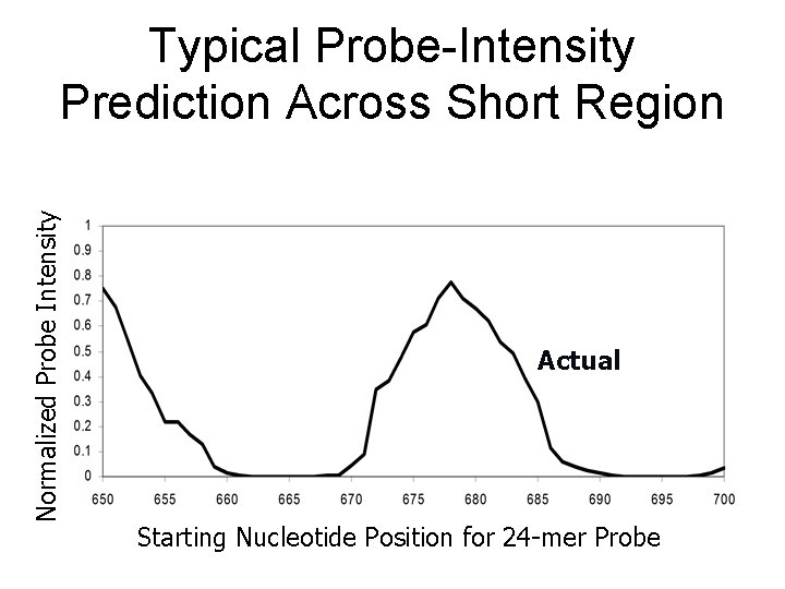 Normalized Probe Intensity Typical Probe-Intensity Prediction Across Short Region Actual Starting Nucleotide Position for