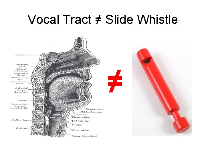 Vocal Tract ≠ Slide Whistle ≠ 