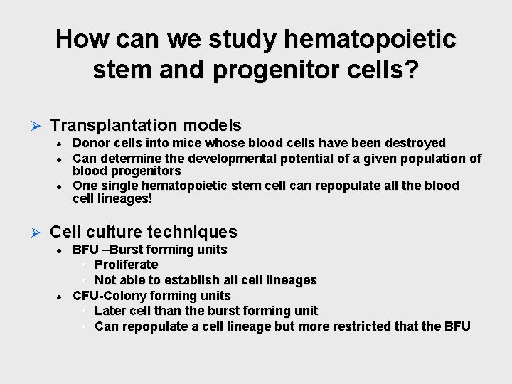 How can we study hematopoietic stem and progenitor cells? Ø Transplantation models l l How can we study hematopoietic stem and progenitor cells? Ø Transplantation models l l