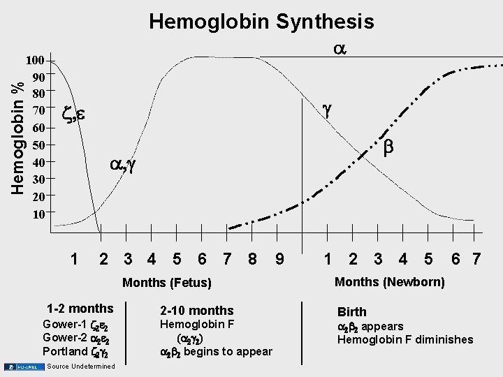 Hemoglobin Synthesis Hemoglobin % 100 90 80 70 60 50 40 30 20 10 Hemoglobin Synthesis Hemoglobin % 100 90 80 70 60 50 40 30 20 10