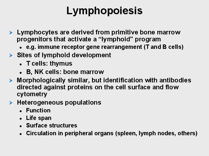 Lymphopoiesis Ø Lymphocytes are derived from primitive bone marrow progenitors that activate a “lymphoid” Lymphopoiesis Ø Lymphocytes are derived from primitive bone marrow progenitors that activate a “lymphoid”