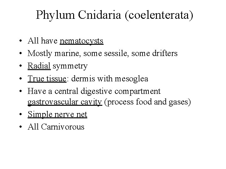 Phylum Cnidaria (coelenterata) • • • All have nematocysts Mostly marine, some sessile, some