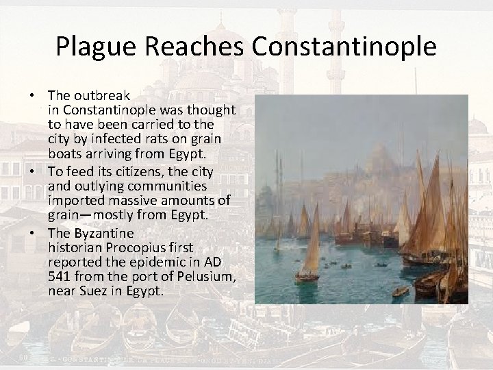 Plague Reaches Constantinople • The outbreak in Constantinople was thought to have been carried