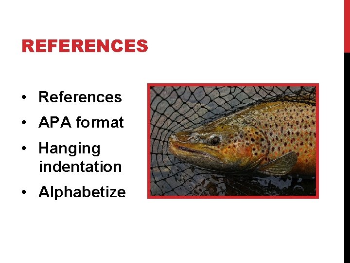 REFERENCES • References • APA format • Hanging indentation • Alphabetize 