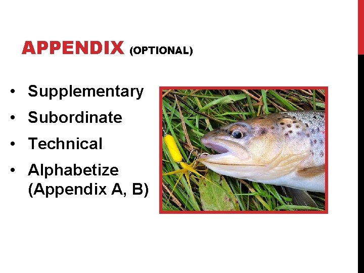 APPENDIX (OPTIONAL) • Supplementary • Subordinate • Technical • Alphabetize (Appendix A, B) 