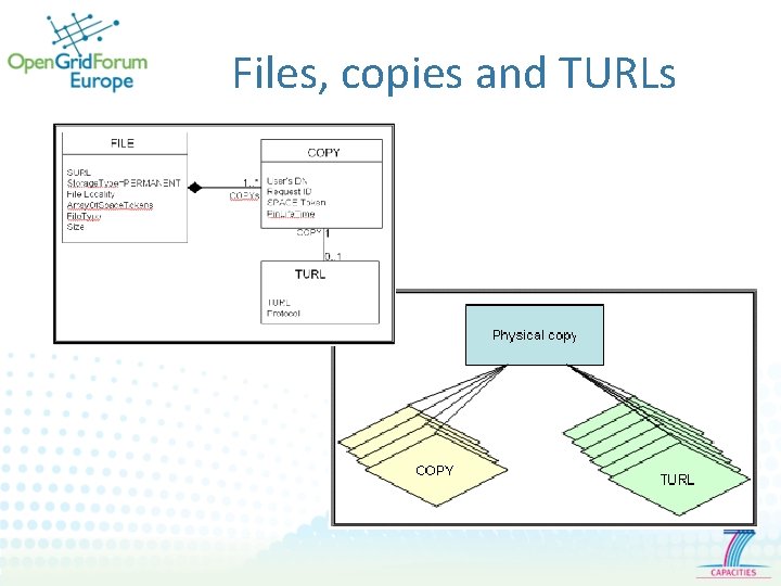 Files, copies and TURLs 