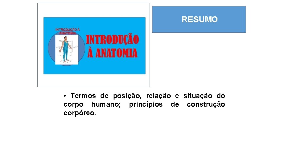 RESUMO • Termos de posição, relação e situação do corpo humano; princípios de construção