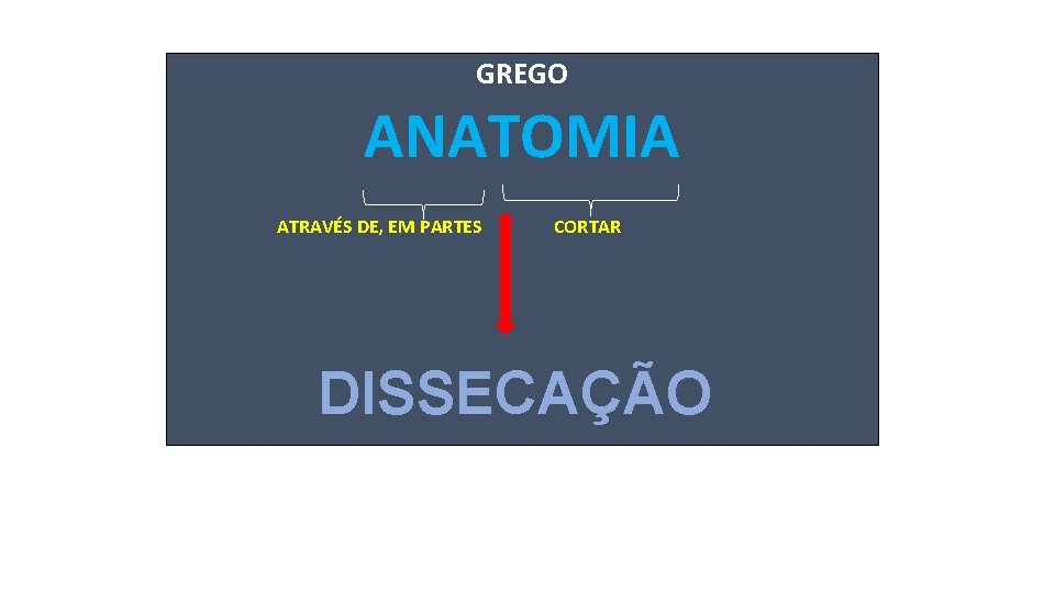 GREGO ANATOMIA ATRAVÉS DE, EM PARTES CORTAR DISSECAÇÃO 