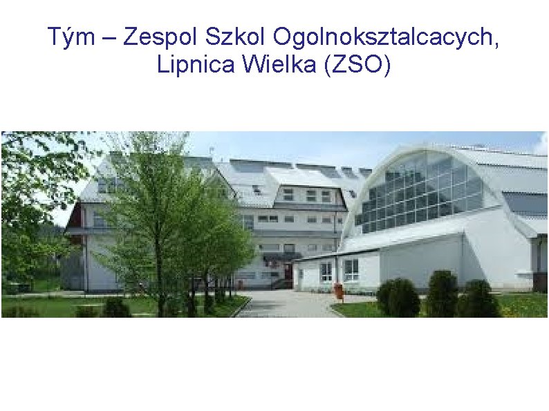 Tým – Zespol Szkol Ogolnoksztalcacych, Lipnica Wielka (ZSO) 