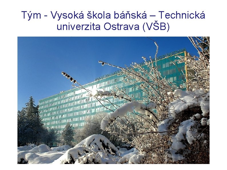 Tým - Vysoká škola báňská – Technická univerzita Ostrava (VŠB) 