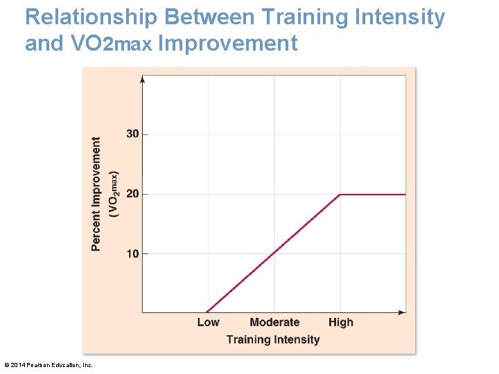 Relationship Between Training Intensity and VO 2 max Improvement © 2014 Pearson Education, Inc. Relationship Between Training Intensity and VO 2 max Improvement © 2014 Pearson Education, Inc.