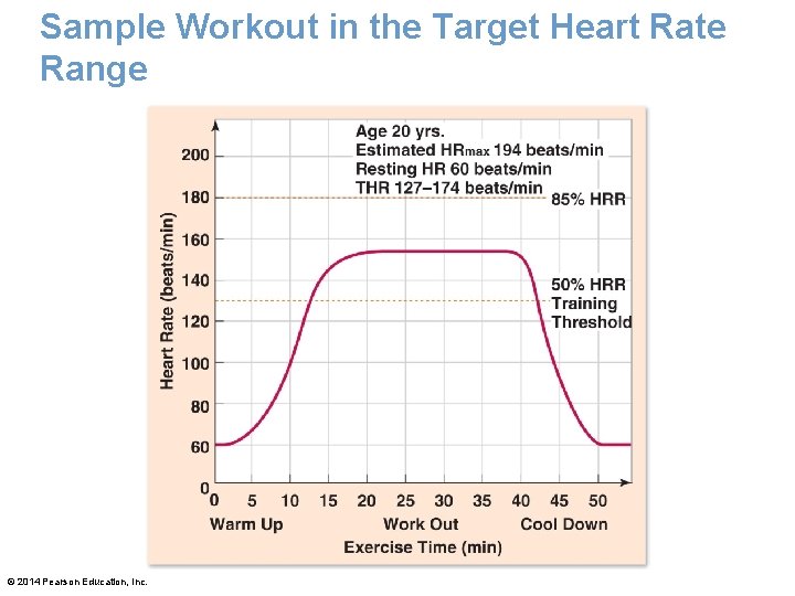 Sample Workout in the Target Heart Rate Range © 2014 Pearson Education, Inc. Sample Workout in the Target Heart Rate Range © 2014 Pearson Education, Inc.