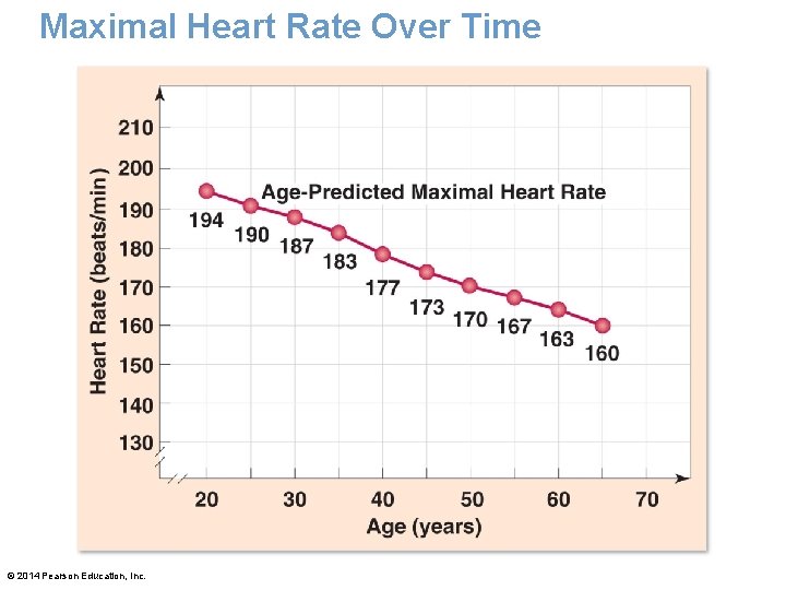 Maximal Heart Rate Over Time © 2014 Pearson Education, Inc. Maximal Heart Rate Over Time © 2014 Pearson Education, Inc.