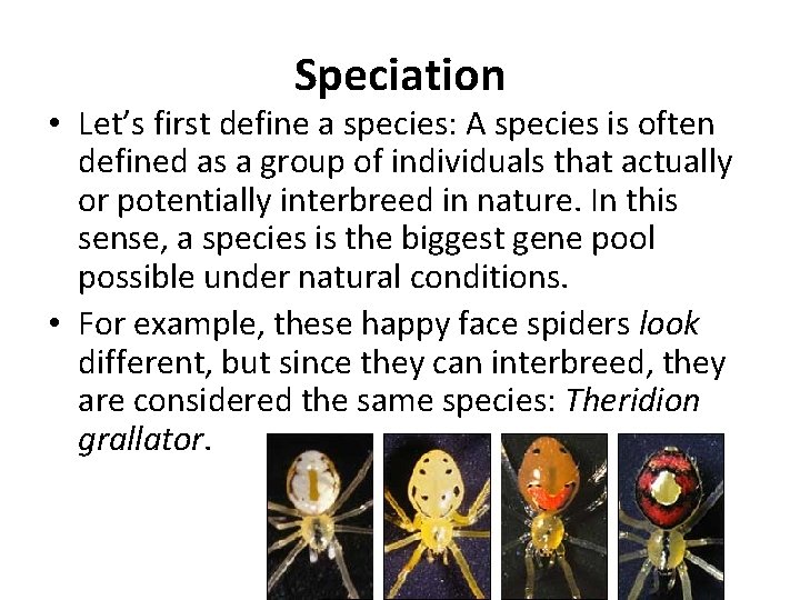 Speciation • Let’s first define a species: A species is often defined as a