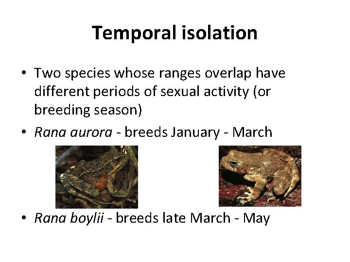 Temporal isolation • Two species whose ranges overlap have different periods of sexual activity