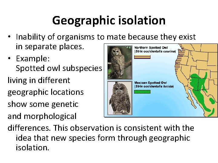Geographic isolation • Inability of organisms to mate because they exist in separate places.