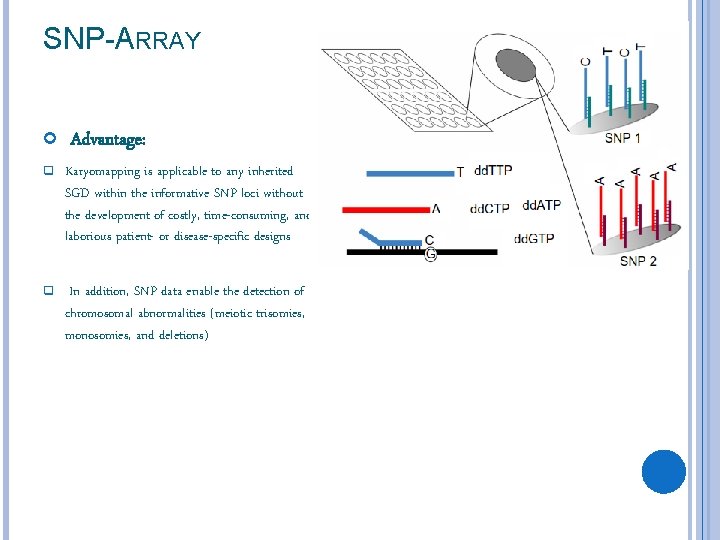 SNP-ARRAY Advantage: q Karyomapping is applicable to any inherited SGD within the informative SNP
