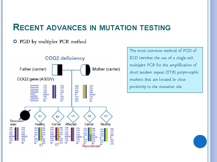 RECENT ADVANCES IN MUTATION TESTING PGD by multiplex PCR method The most common method