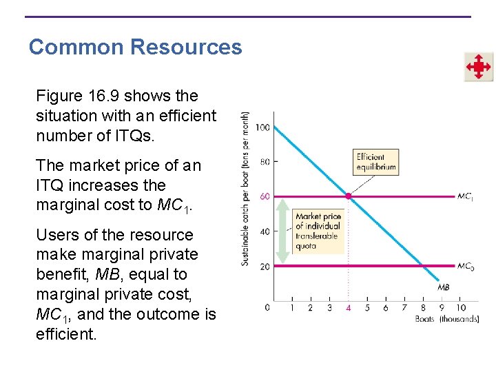 Common Resources Figure 16. 9 shows the situation with an efficient number of ITQs.