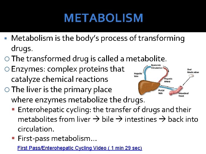 METABOLISM Metabolism is the body’s process of transforming drugs. The transformed drug is called