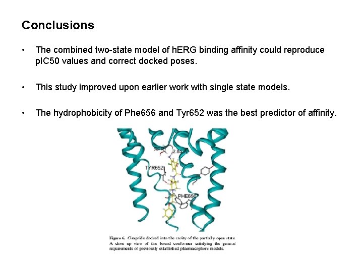 Conclusions • The combined two-state model of h. ERG binding affinity could reproduce p.