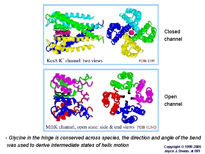 Closed channel Open channel - Glycine in the hinge is conserved across species, the