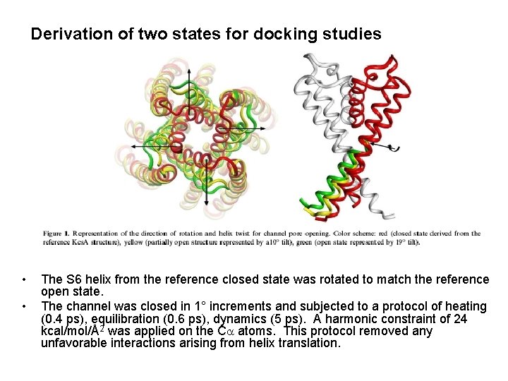 Derivation of two states for docking studies • • The S 6 helix from