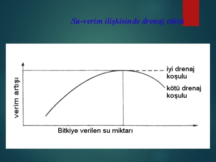 Su-verim ilişkisinde drenaj etkisi 