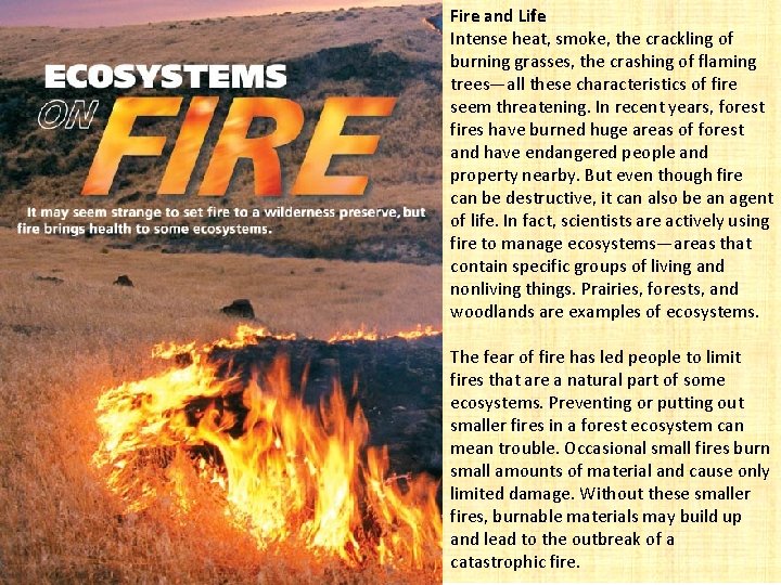 Fire and Life Intense heat, smoke, the crackling of burning grasses, the crashing of