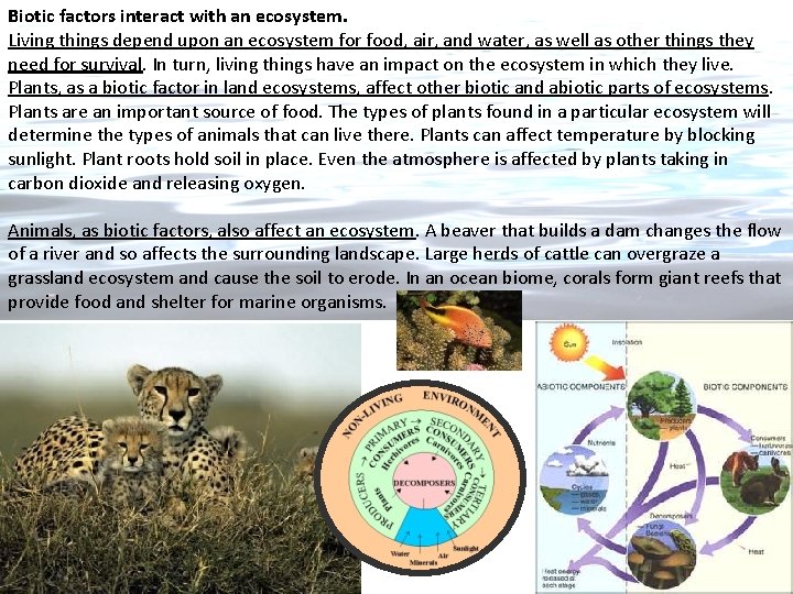 Biotic factors interact with an ecosystem. Living things depend upon an ecosystem for food,