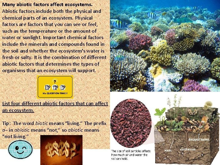 Many abiotic factors affect ecosystems. Abiotic factors include both the physical and chemical parts