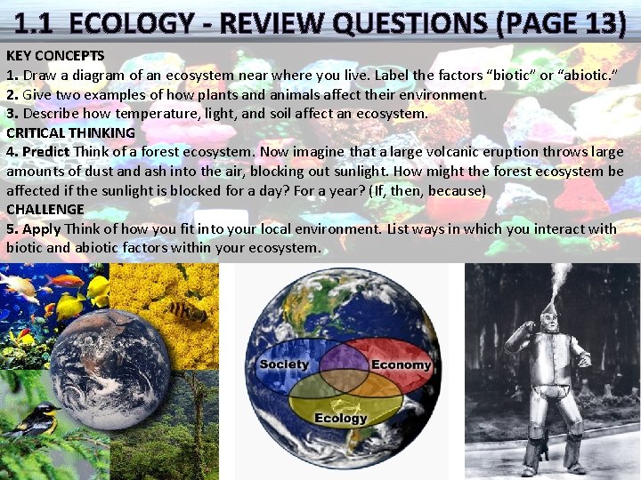 1. 1 ECOLOGY - REVIEW QUESTIONS (PAGE 13) KEY CONCEPTS 1. Draw a diagram