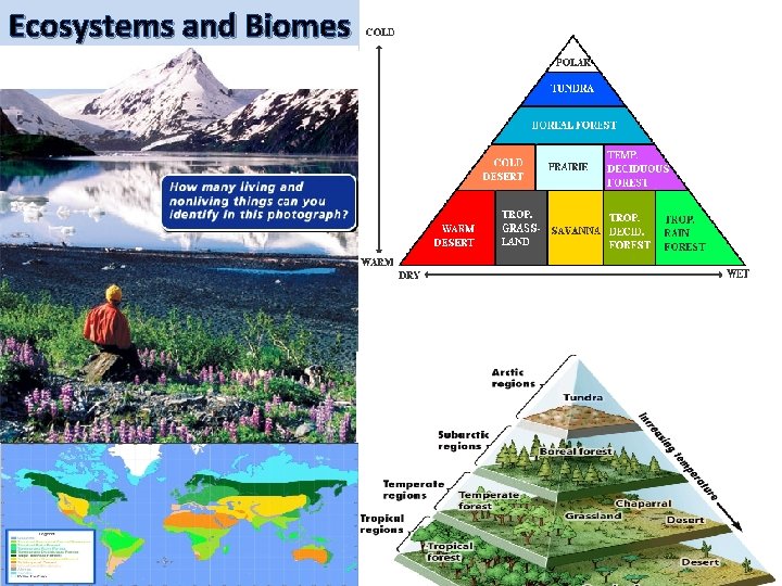 Ecosystems and Biomes 
