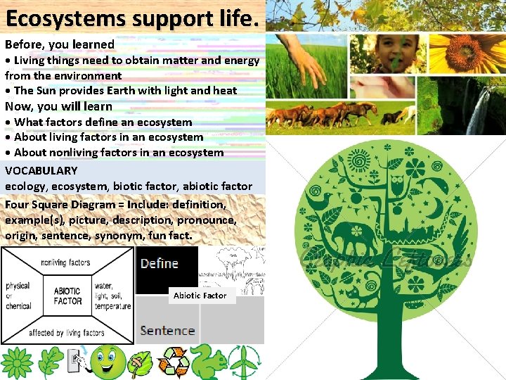 Ecosystems support life. Before, you learned • Living things need to obtain matter and