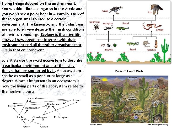 Living things depend on the environment. You wouldn't find a kangaroo in the Arctic