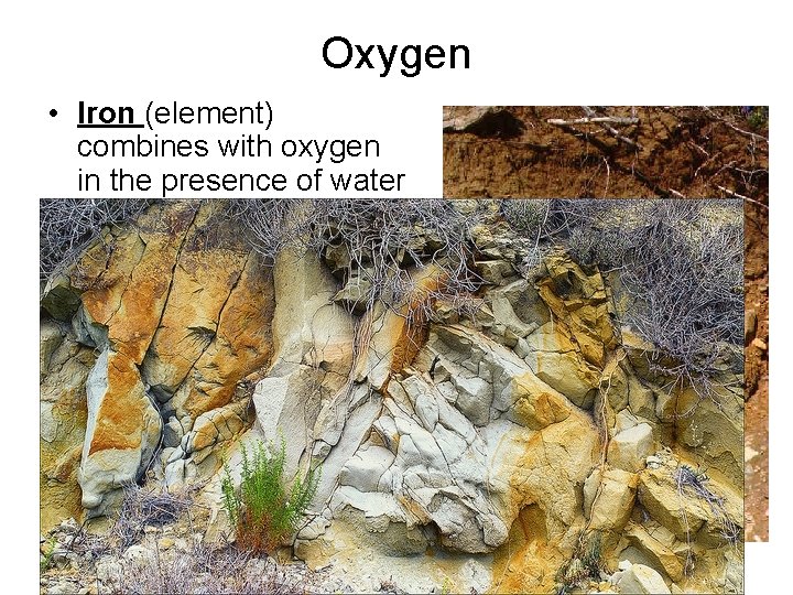 Oxygen • Iron (element) combines with oxygen in the presence of water in a