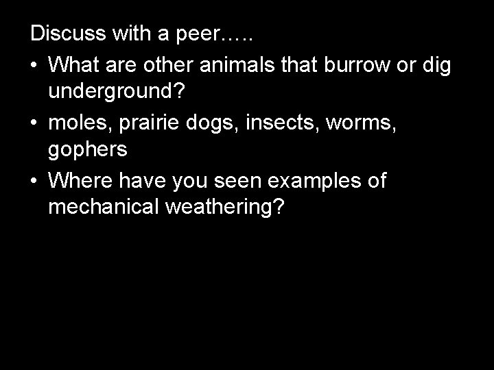 Discuss with a peer…. . • What are other animals that burrow or dig
