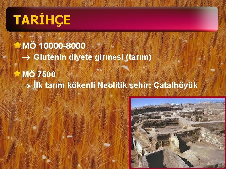 TARİHÇE MÖ 10000 -8000 ® Glutenin diyete girmesi (tarım) MÖ 7500 ® İlk tarım