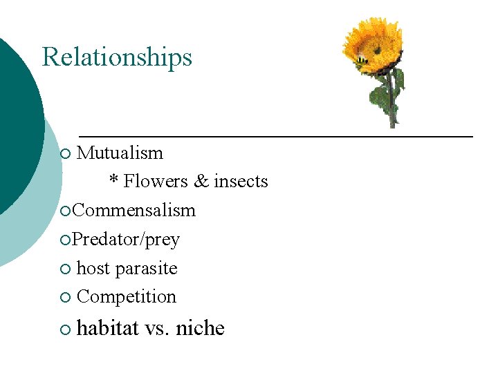 Relationships Mutualism * Flowers & insects ¡Commensalism ¡Predator/prey ¡ host parasite ¡ Competition ¡