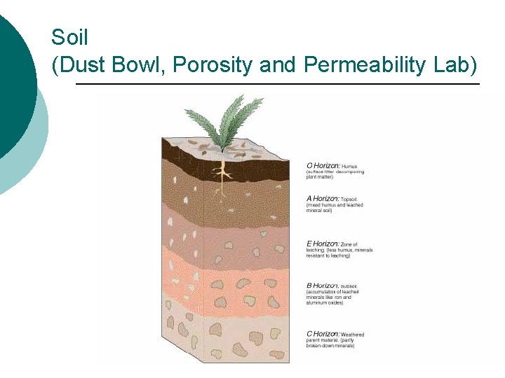 Soil (Dust Bowl, Porosity and Permeability Lab) 