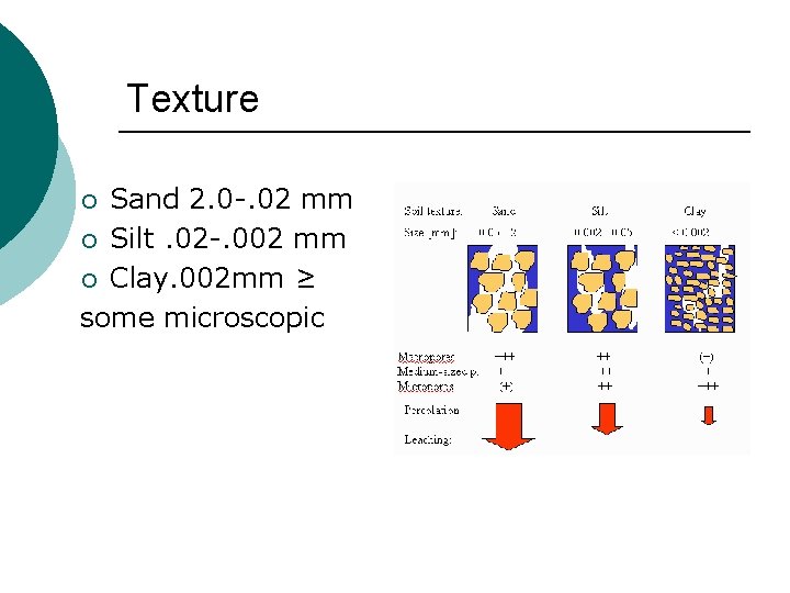 Texture Sand 2. 0 -. 02 mm ¡ Silt. 02 -. 002 mm ¡