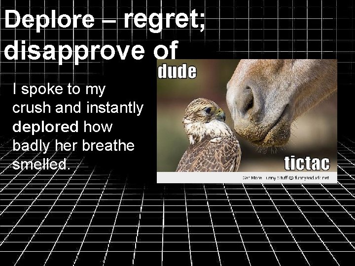 Deplore – regret; disapprove of I spoke to my crush and instantly deplored how