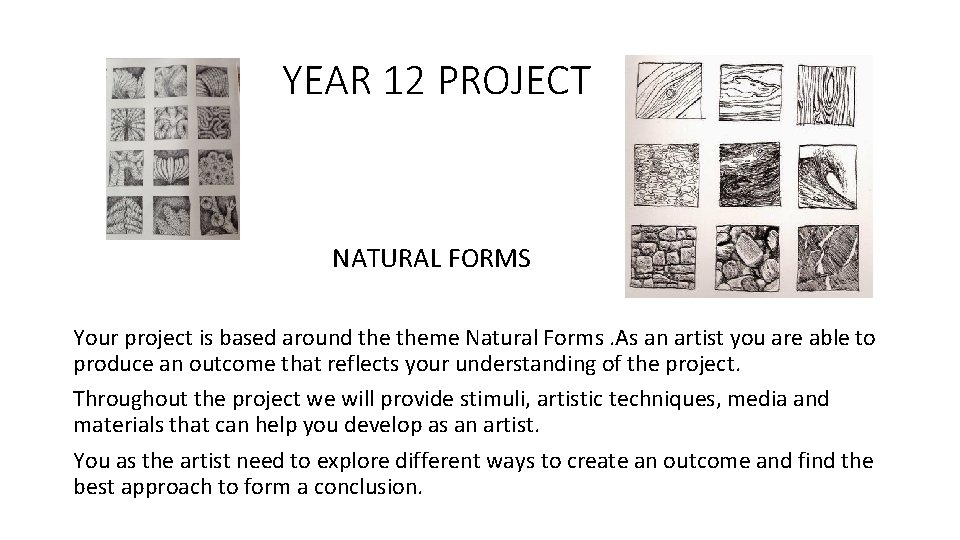 YEAR 12 PROJECT NATURAL FORMS Your project is based around theme Natural Forms. As