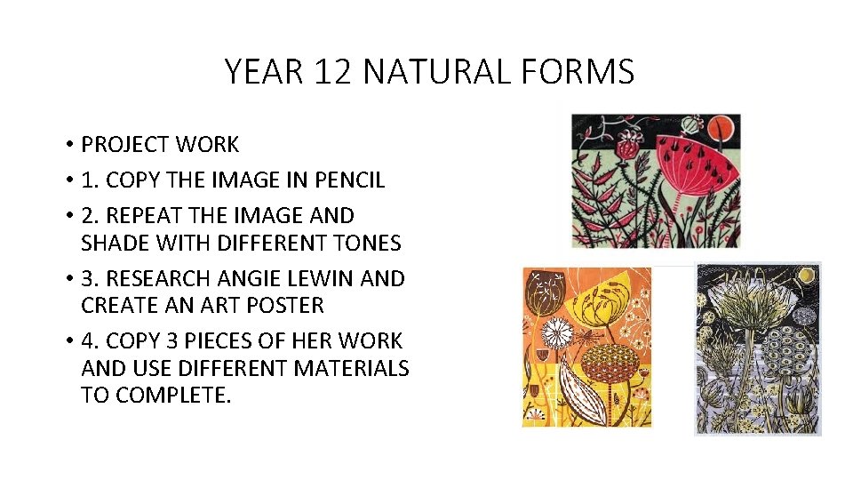 YEAR 12 NATURAL FORMS • PROJECT WORK • 1. COPY THE IMAGE IN PENCIL