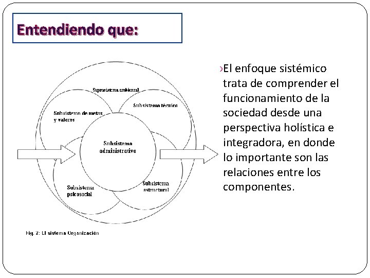 Entendiendo que: El enfoque sistémico trata de comprender el funcionamiento de la sociedad desde