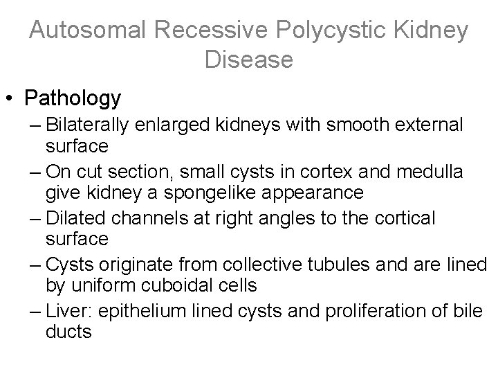 Autosomal Recessive Polycystic Kidney Disease • Pathology – Bilaterally enlarged kidneys with smooth external