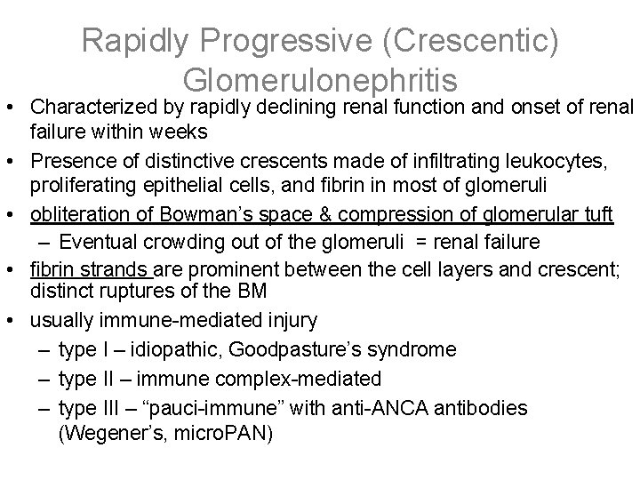 Rapidly Progressive (Crescentic) Glomerulonephritis • Characterized by rapidly declining renal function and onset of