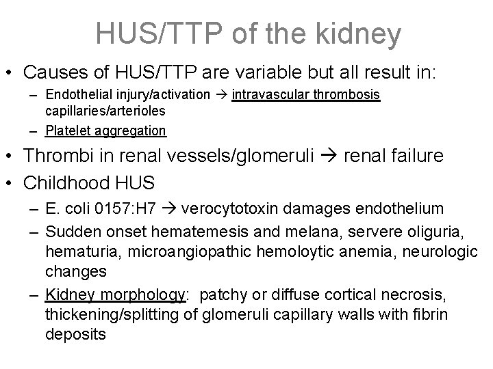 HUS/TTP of the kidney • Causes of HUS/TTP are variable but all result in: